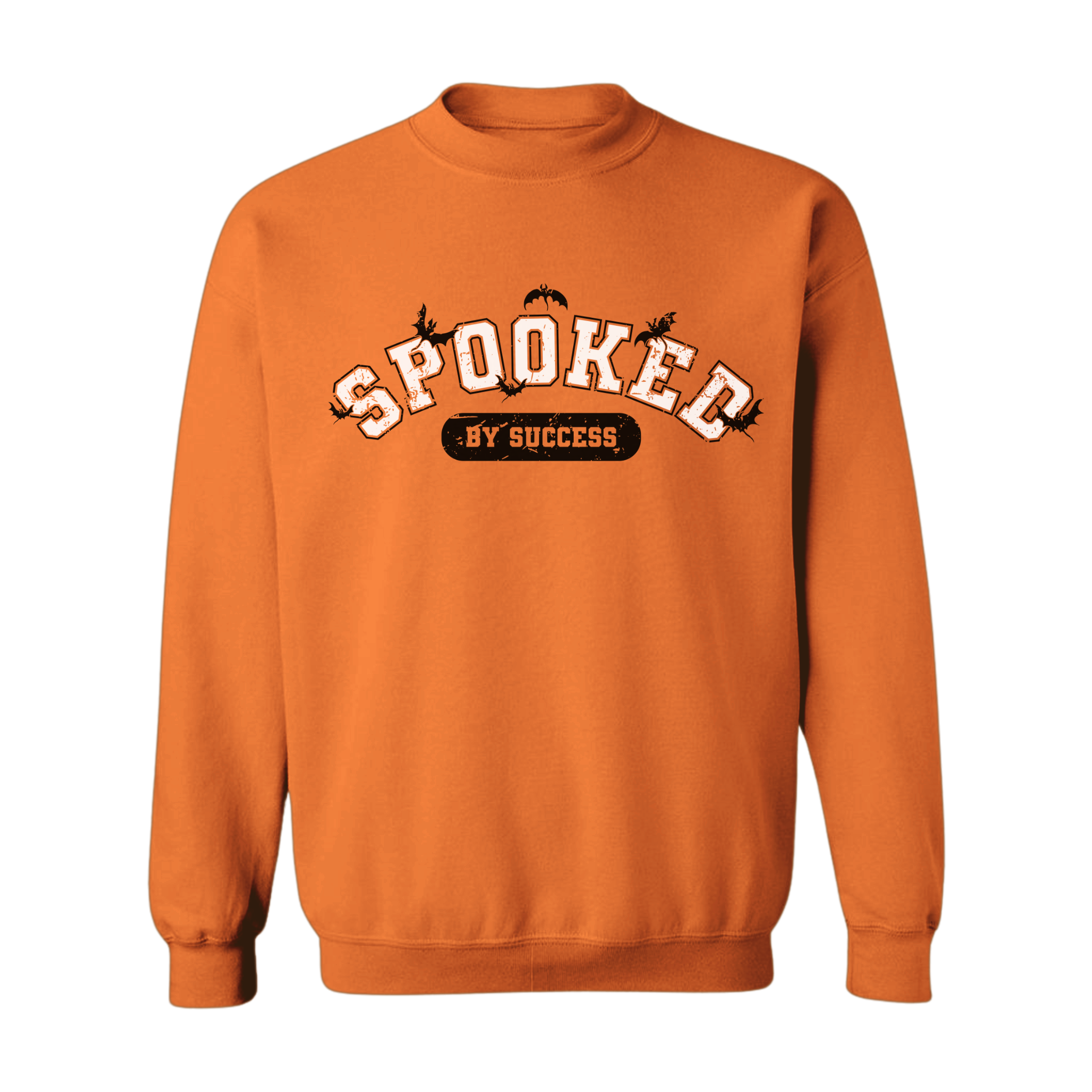 Spooked By Success Premium Sweatshirt