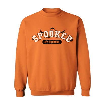 Spooked By Success Premium Sweatshirt
